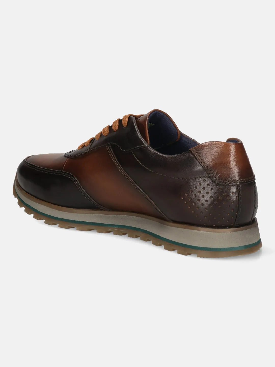 bugatti Dark Brown and Brown Premium Leather Sneakers for Men