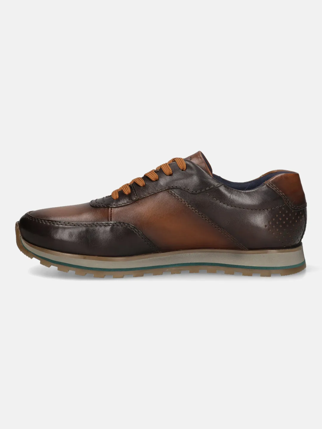 bugatti Dark Brown and Brown Premium Leather Sneakers for Men