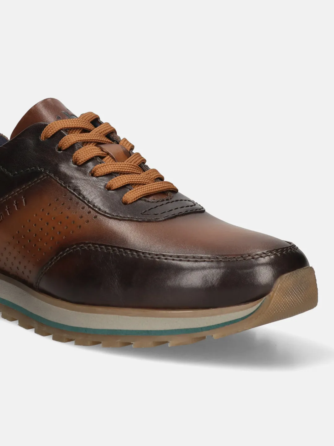 bugatti Dark Brown and Brown Premium Leather Sneakers for Men