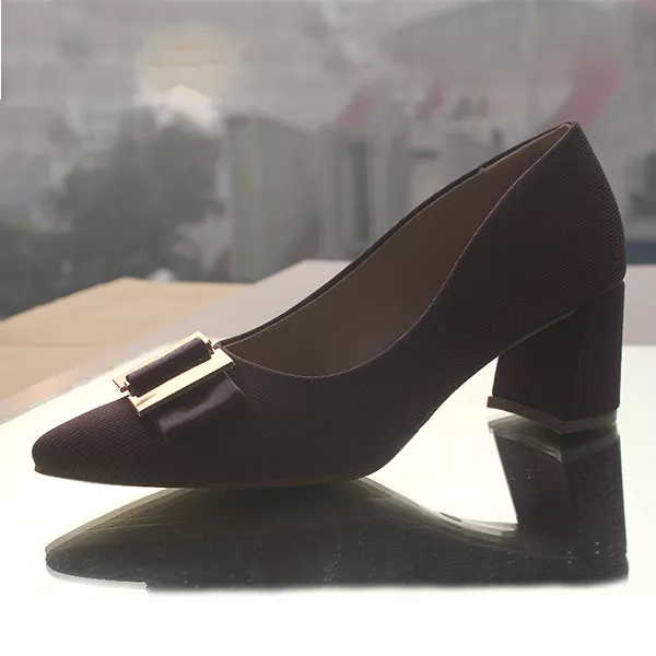 Stylish pumps with block heels for women.