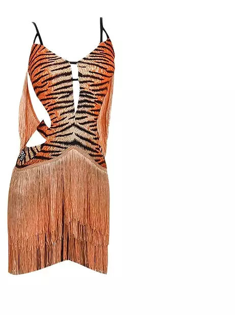 Tiger Rhythm Latin Practice Dress for Sale | $80