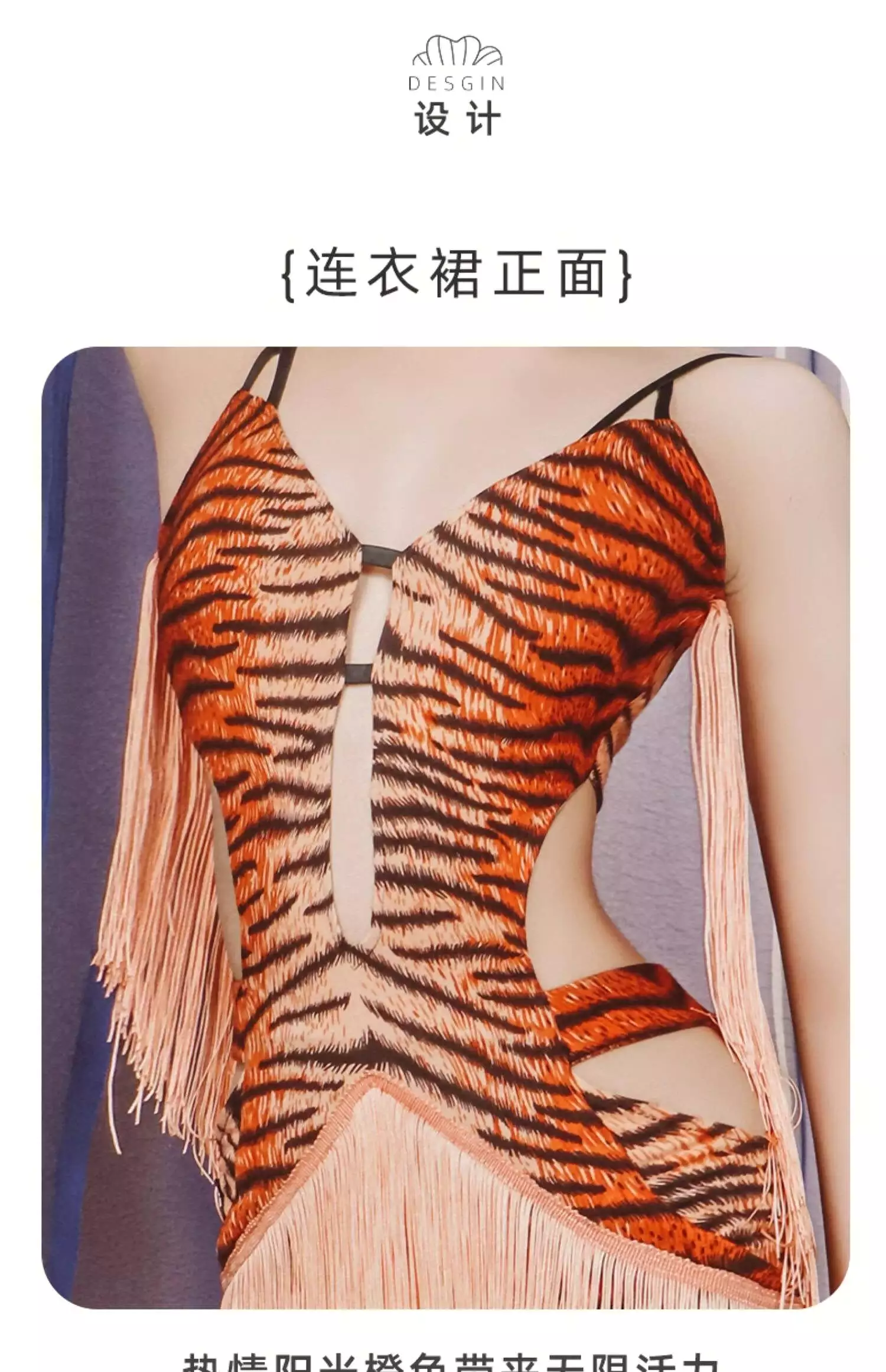 Tiger Rhythm Latin Practice Dress for Sale | $80