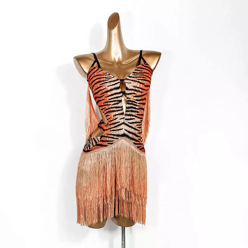 Tiger Rhythm Latin Practice Dress for Sale | $80