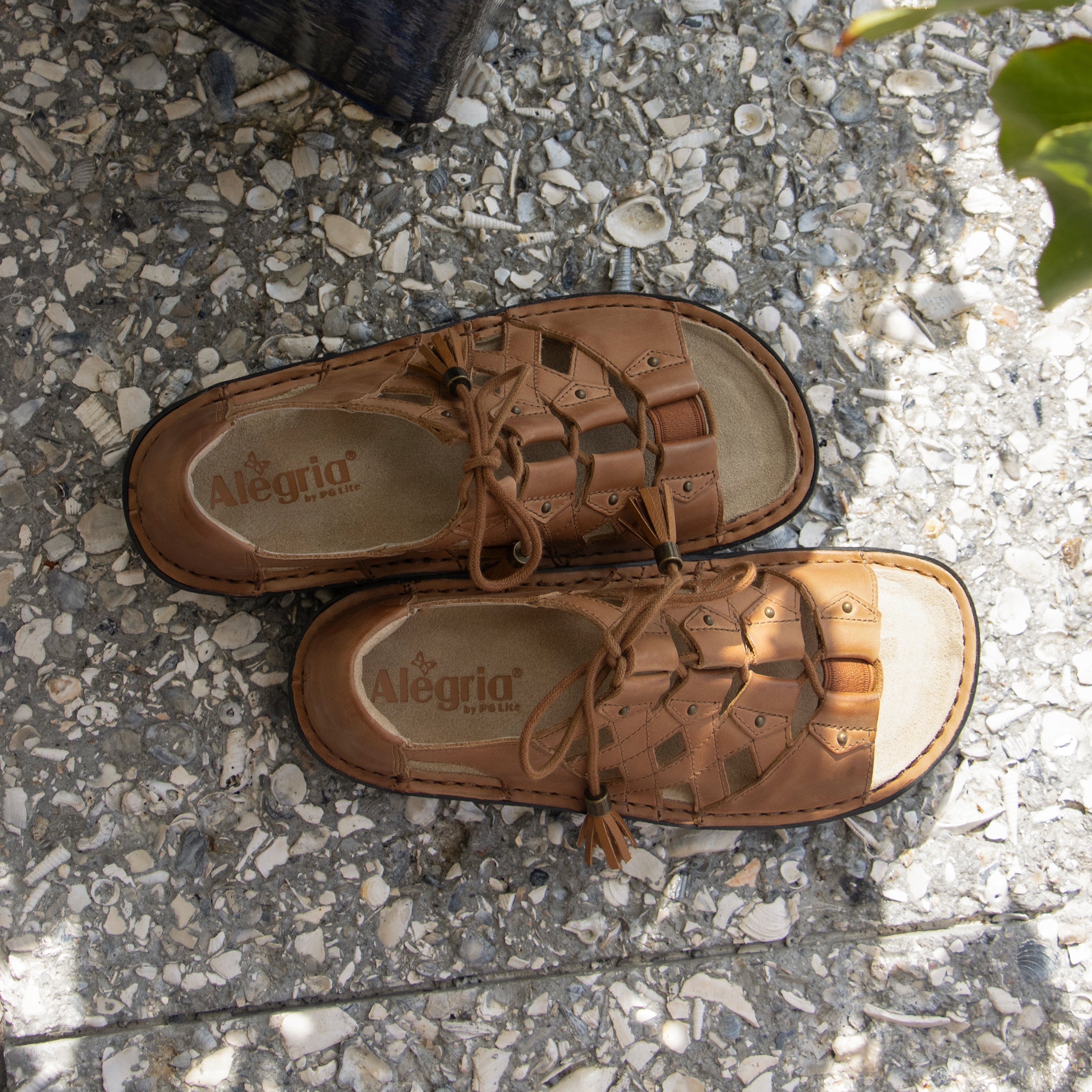 Valerie Sandal in Cognac